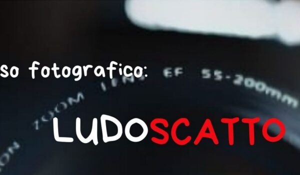 Copertina Articolo